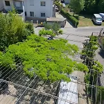 Frane Апартаменты *